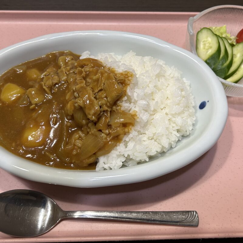 今日のご飯