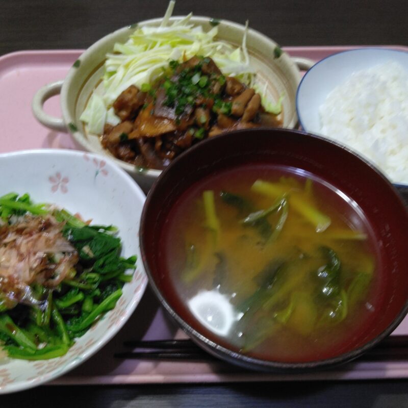 今日のご様子