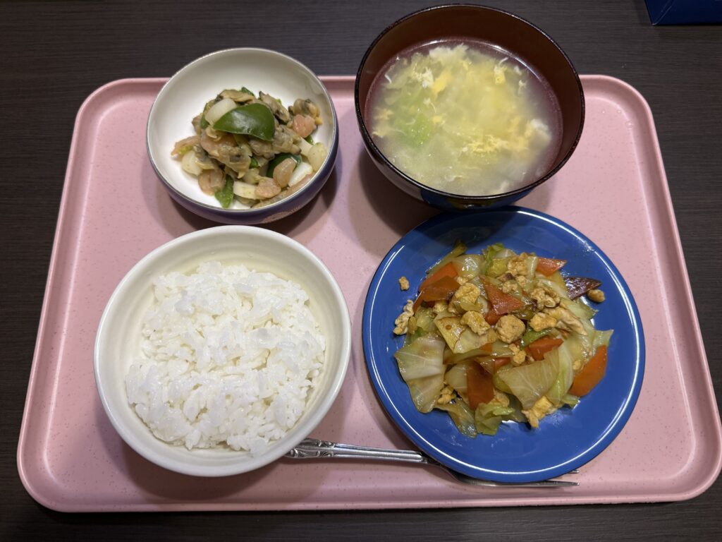 青年海外協力隊の日