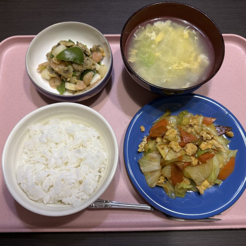 青年海外協力隊の日
