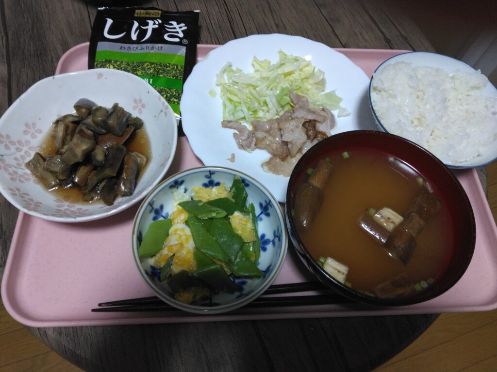 今日の夕飯