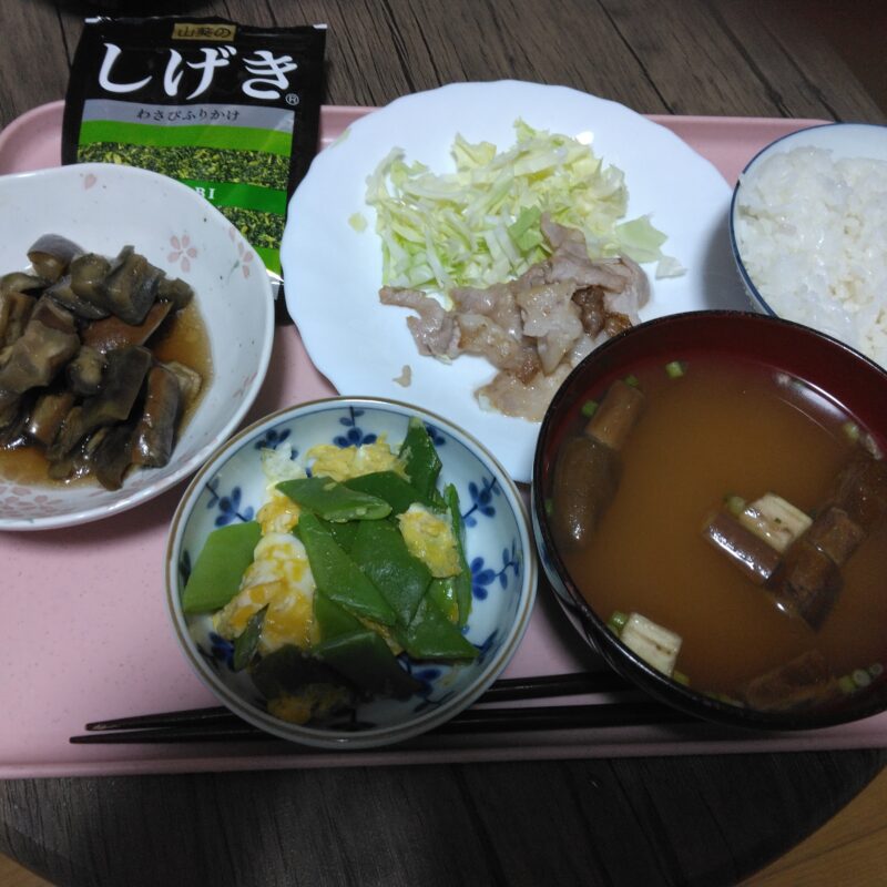 今日の夕飯
