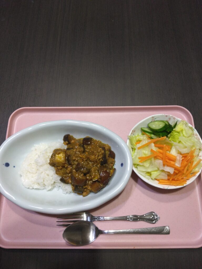 今日の夕食