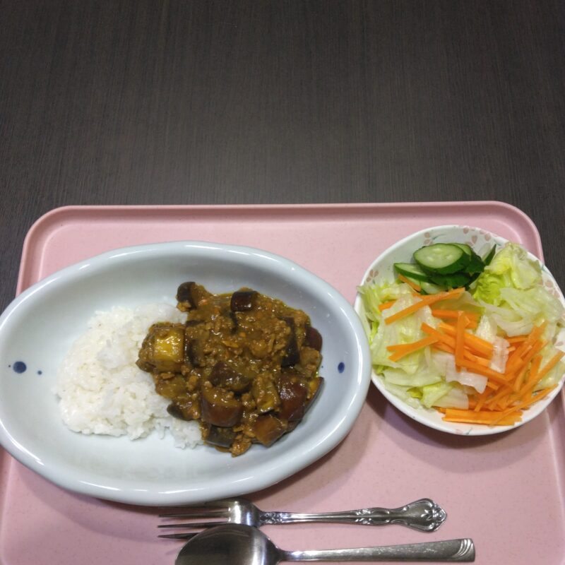 今日の夕食