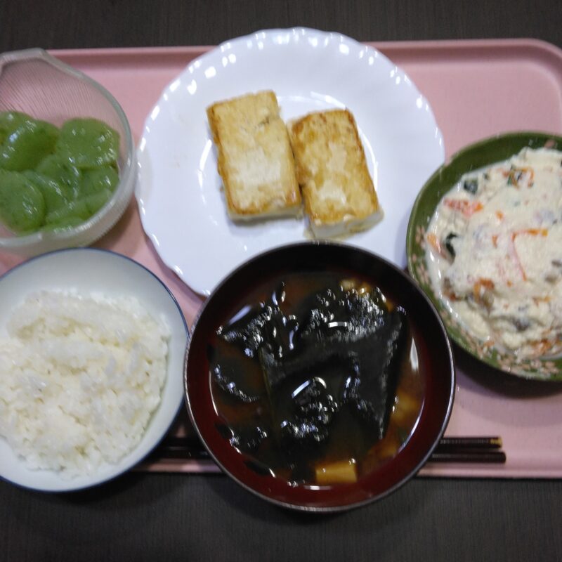 今日の夕食