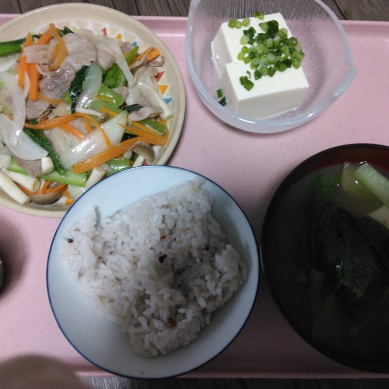 今日の夕食