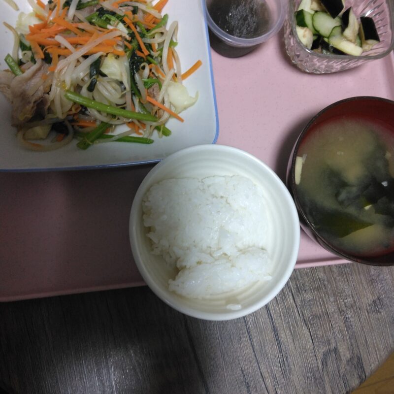 今日の夕食