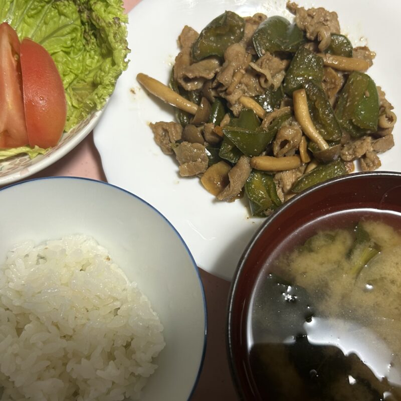 今日の夕食