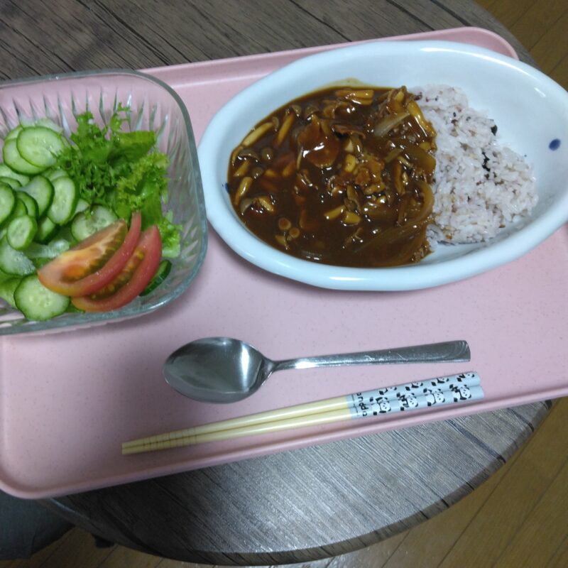 今日の、夕飯