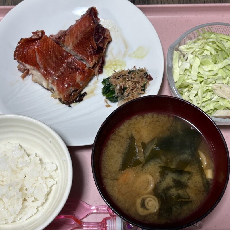 今日の夕食