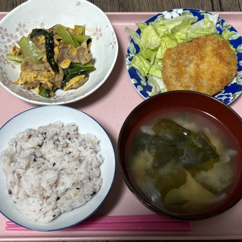 今日の夕飯