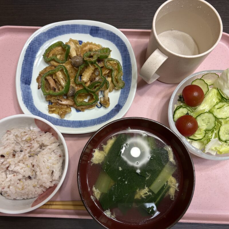 今日の夕食