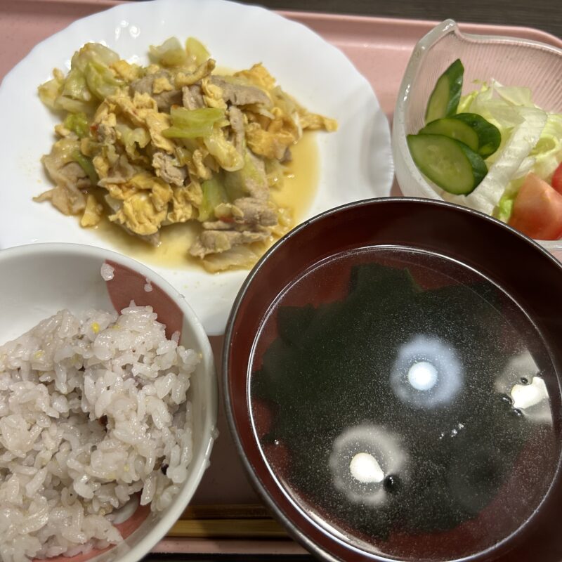 今日のご飯