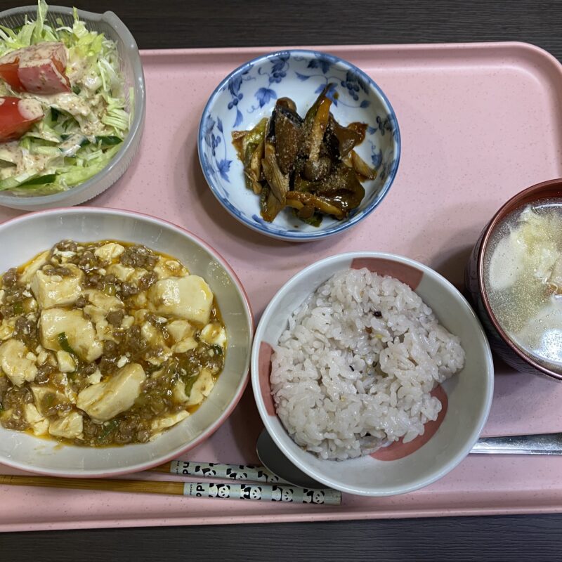 今日のご飯