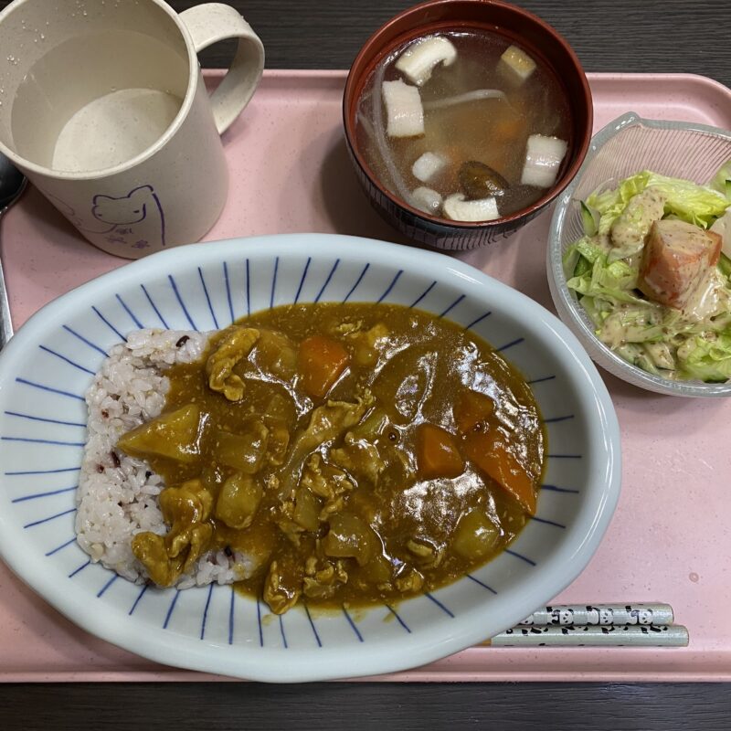 今日のご飯